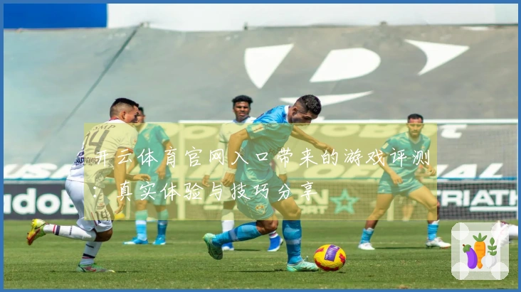 开云体育官网入口带来的游戏评测：真实体验与技巧分享