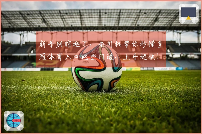 新手别瞎逛了，老司机带你秒懂皇冠体育入口这些门道，上手超快！