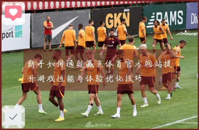 新手如何通过赢点体育官方网站提升游戏性能与体验优化技巧