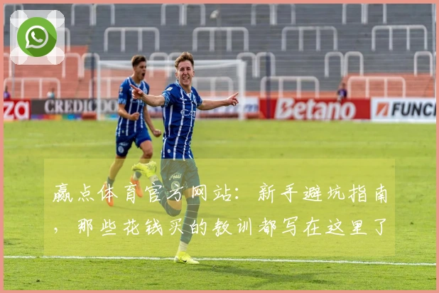 赢点体育官方网站：新手避坑指南，那些花钱买的教训都写在这里了